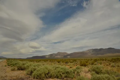 DSC_6588 (Large).JPG